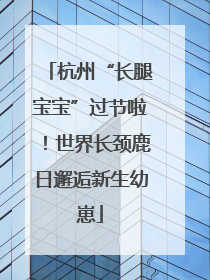 杭州“长腿宝宝”过节啦！世界长颈鹿日邂逅新生幼崽