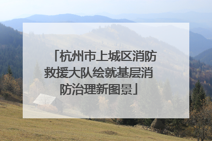 杭州市上城区消防救援大队绘就基层消防治理新图景
