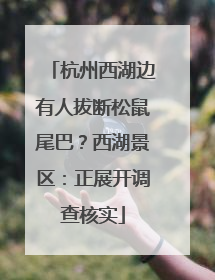 杭州西湖边有人拔断松鼠尾巴？西湖景区：正展开调查核实
