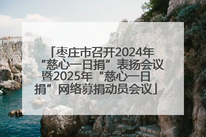 枣庄市召开2024年“慈心一日捐”表扬会议暨2025年“慈心一日捐”网络募捐动员会议