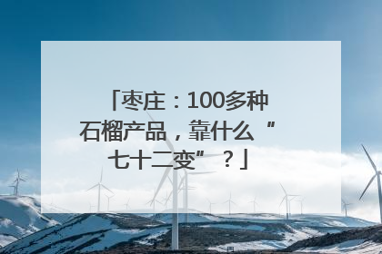 枣庄：100多种石榴产品，靠什么“七十二变”？