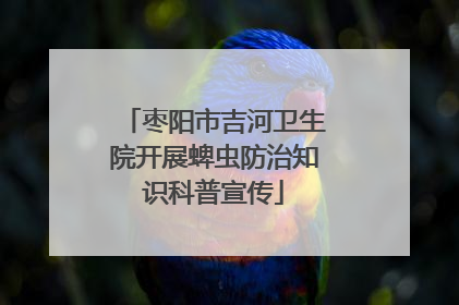 枣阳市吉河卫生院开展蜱虫防治知识科普宣传