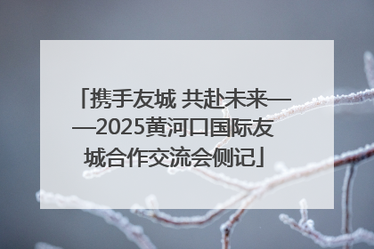 携手友城 共赴未来——2025黄河口国际友城合作交流会侧记