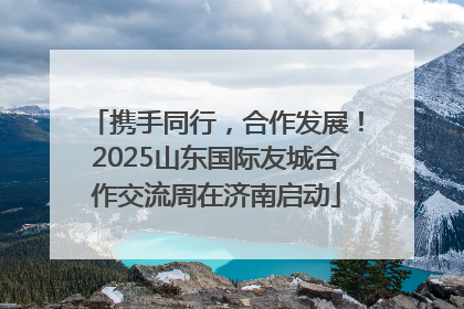 携手同行，合作发展！2025山东国际友城合作交流周在济南启动