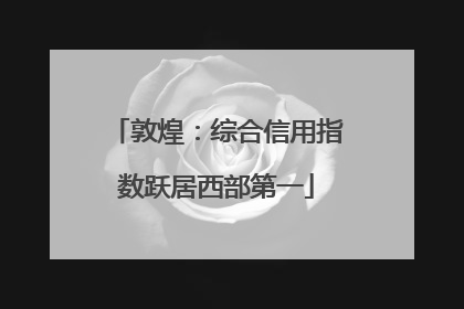 敦煌：综合信用指数跃居西部第一