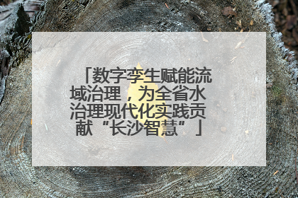 数字孪生赋能流域治理，为全省水治理现代化实践贡献“长沙智慧”