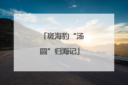 斑海豹“汤圆”归海记