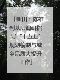 新田：陈雄到基层调研指导“十五五”规划编制与城乡品质大提升工作