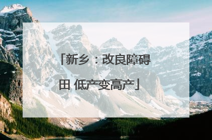 新乡：改良障碍田 低产变高产