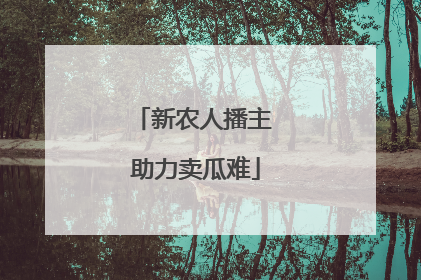 新农人播主 助力卖瓜难