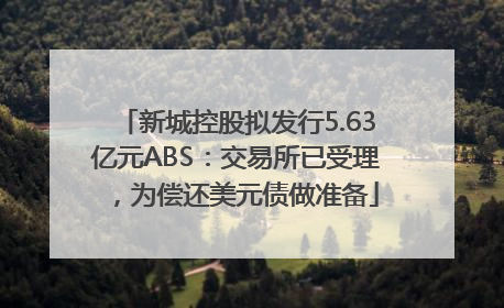新城控股拟发行5.63亿元ABS：交易所已受理，为偿还美元债做准备