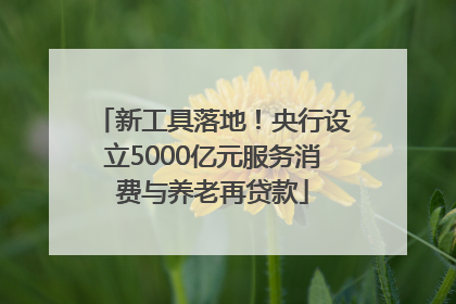 新工具落地！央行设立5000亿元服务消费与养老再贷款