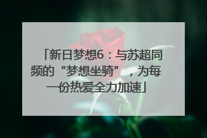 新日梦想6：与苏超同频的“梦想坐骑”，为每一份热爱全力加速