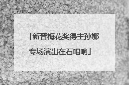 新晋梅花奖得主孙娜专场演出在石唱响