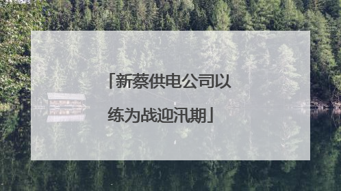 新蔡供电公司以练为战迎汛期
