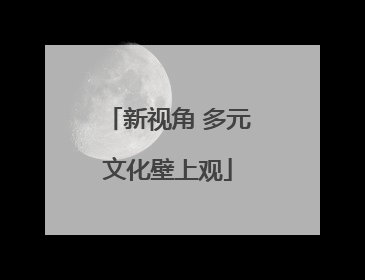 新视角 多元文化壁上观