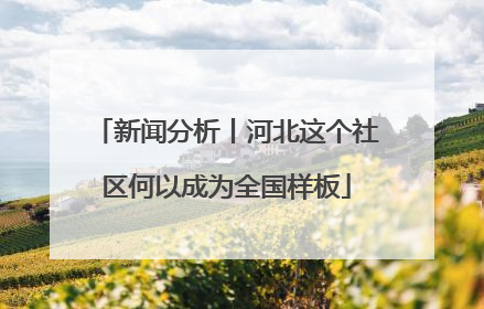 新闻分析丨河北这个社区何以成为全国样板