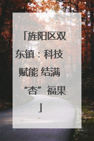 旌阳区双东镇：科技赋能 结满“杏”福果
