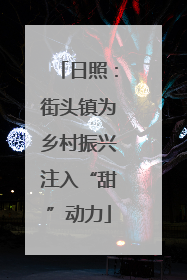 日照：街头镇为乡村振兴注入“甜”动力