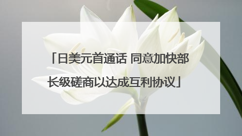 日美元首通话 同意加快部长级磋商以达成互利协议