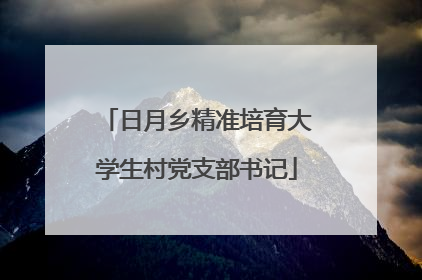 日月乡精准培育大学生村党支部书记