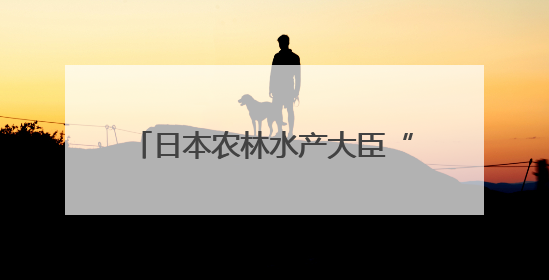 日本农林水产大臣“大米言论”惹众怒 首相紧急换人挽回影响