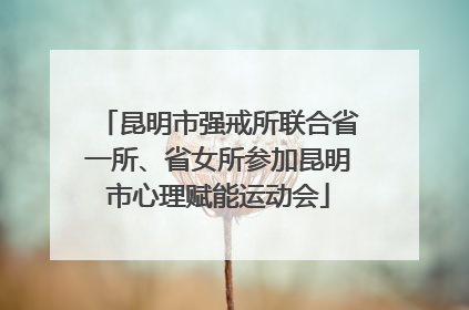 昆明市强戒所联合省一所、省女所参加昆明市心理赋能运动会