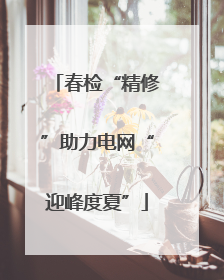 春检“精修”助力电网“迎峰度夏”