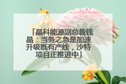 晶科能源副总裁钱晶：当务之急是加速升级既有产线，沙特项目正推进中