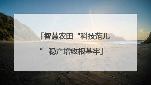 智慧农田“科技范儿” 稳产增收根基牢