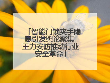 智能门锁夹手隐患引发舆论聚集 王力安防推动行业安全革命