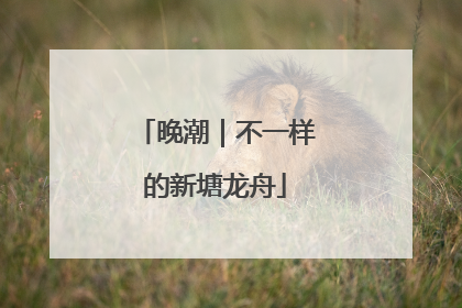 晚潮｜不一样的新塘龙舟