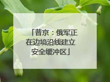 普京：俄军正在边境沿线建立安全缓冲区