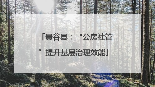 景谷县：“公房社管”提升基层治理效能