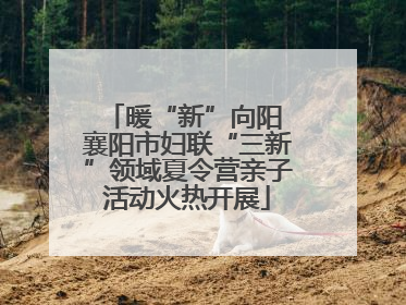 暖“新”向阳 襄阳市妇联“三新”领域夏令营亲子活动火热开展