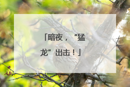 暗夜，“猛龙”出击！