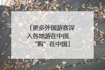 更多外国游客深入各地游在中国、“购”在中国