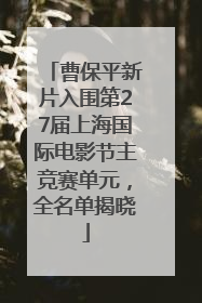 曹保平新片入围第27届上海国际电影节主竞赛单元，全名单揭晓