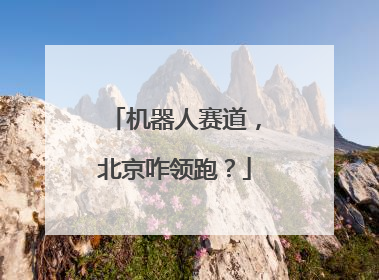 机器人赛道，北京咋领跑？