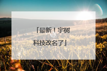 最新！宇树科技改名了