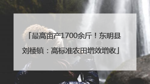 最高亩产1700余斤！东明县刘楼镇：高标准农田增效增收