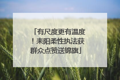 有尺度更有温度！耒阳柔性执法获群众点赞送锦旗