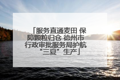 服务直通麦田 保障颗粒归仓 德州市行政审批服务局护航“三夏”生产
