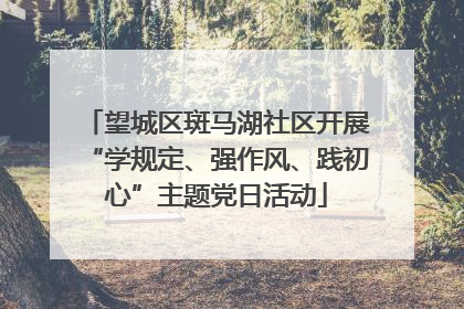 望城区斑马湖社区开展“学规定、强作风、践初心”主题党日活动