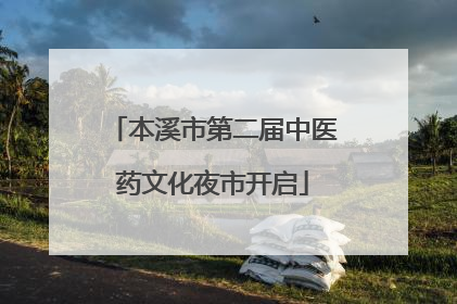 本溪市第二届中医药文化夜市开启
