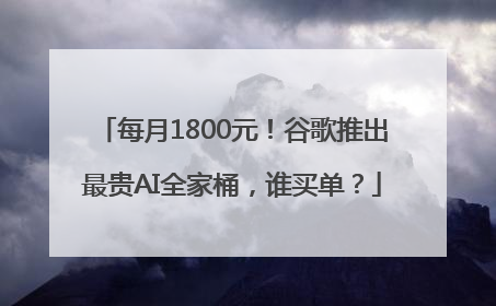每月1800元！谷歌推出最贵AI全家桶，谁买单？