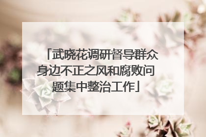 武晓花调研督导群众身边不正之风和腐败问题集中整治工作