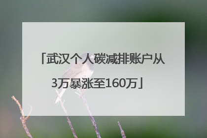 武汉个人碳减排账户从3万暴涨至160万