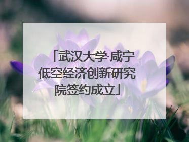 武汉大学·咸宁低空经济创新研究院签约成立