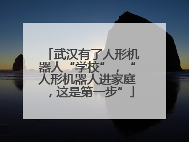 武汉有了人形机器人“学校”，“人形机器人进家庭，这是第一步”